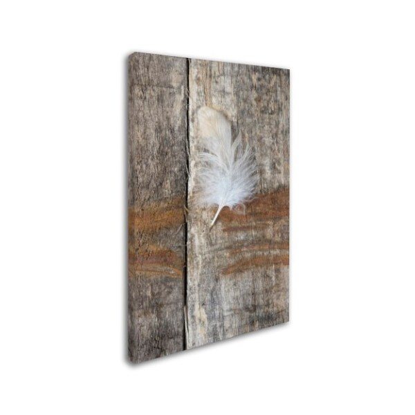 Cora Niele 'Feather On Wood I' Canvas Art,12x19